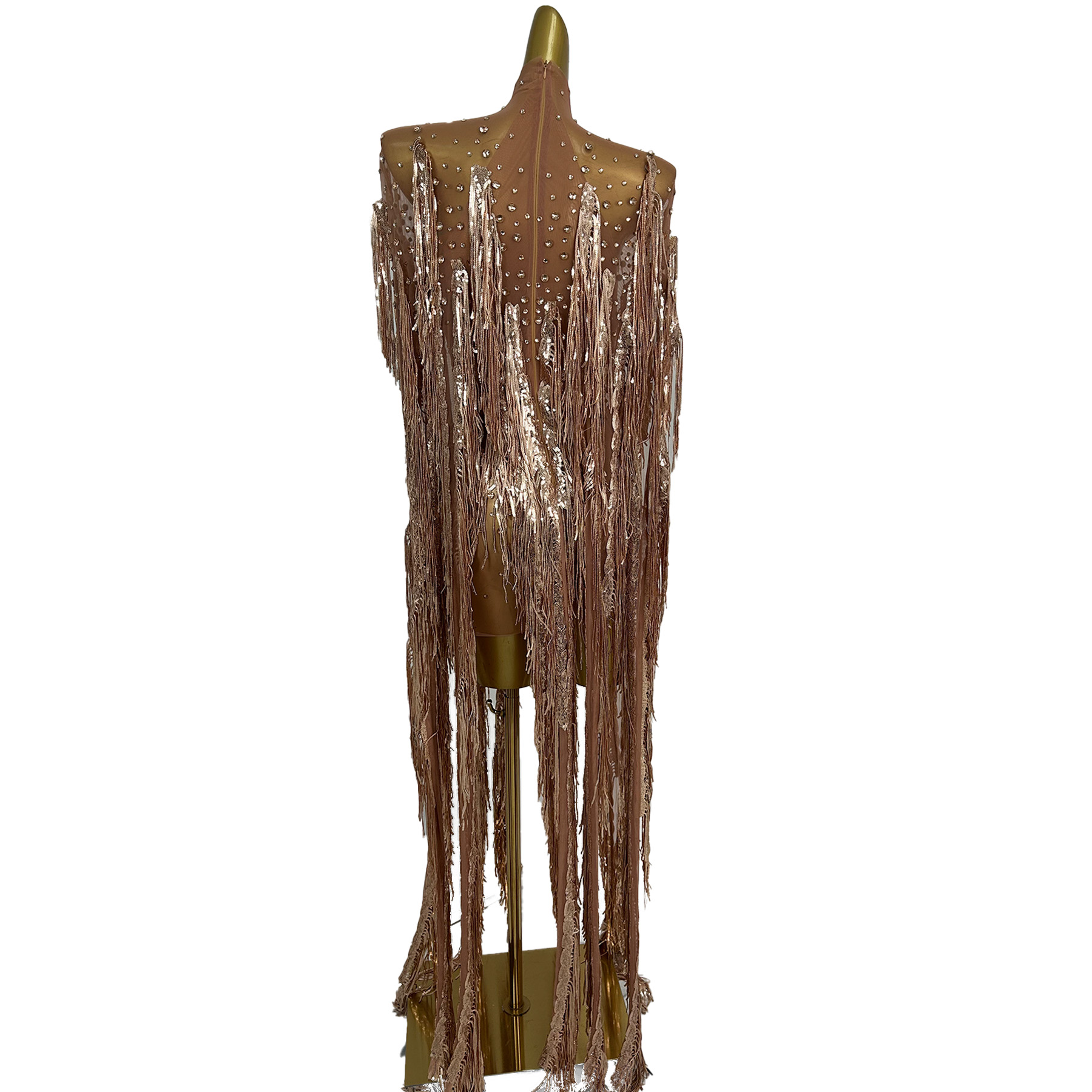 Gaun Panjang Berumbai dengan P - Sparkly Rhinestone Club Party Dress ulasan dan harga